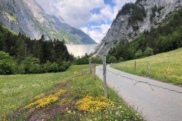 Blumenwiese auf dem Weg zum Gigerwaldsee