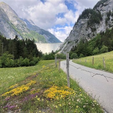 Blumenwiese auf dem Weg zum Gigerwaldsee