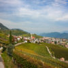 Blick auf Tramin und Weinberge