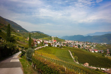 Blick auf Tramin und Weinberge