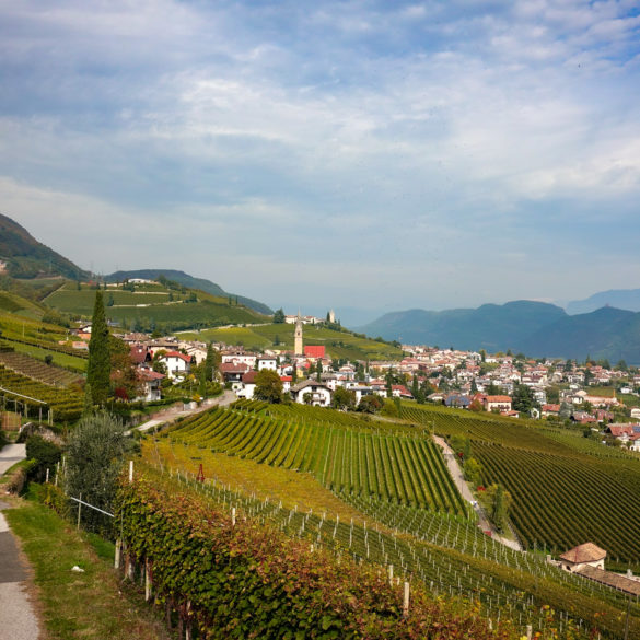 Blick auf Tramin und Weinberge